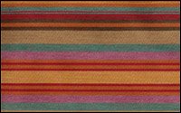 Eagle Ridge Salsa Dip (0540)